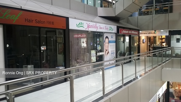 Orchard Plaza (D9), Retail #324518771